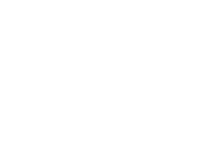 Perfy